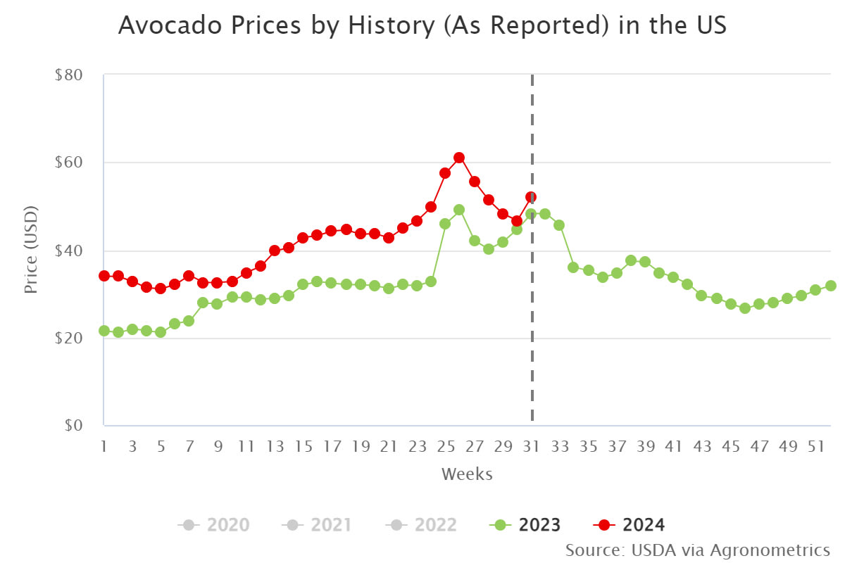 avocado prices by histor 1